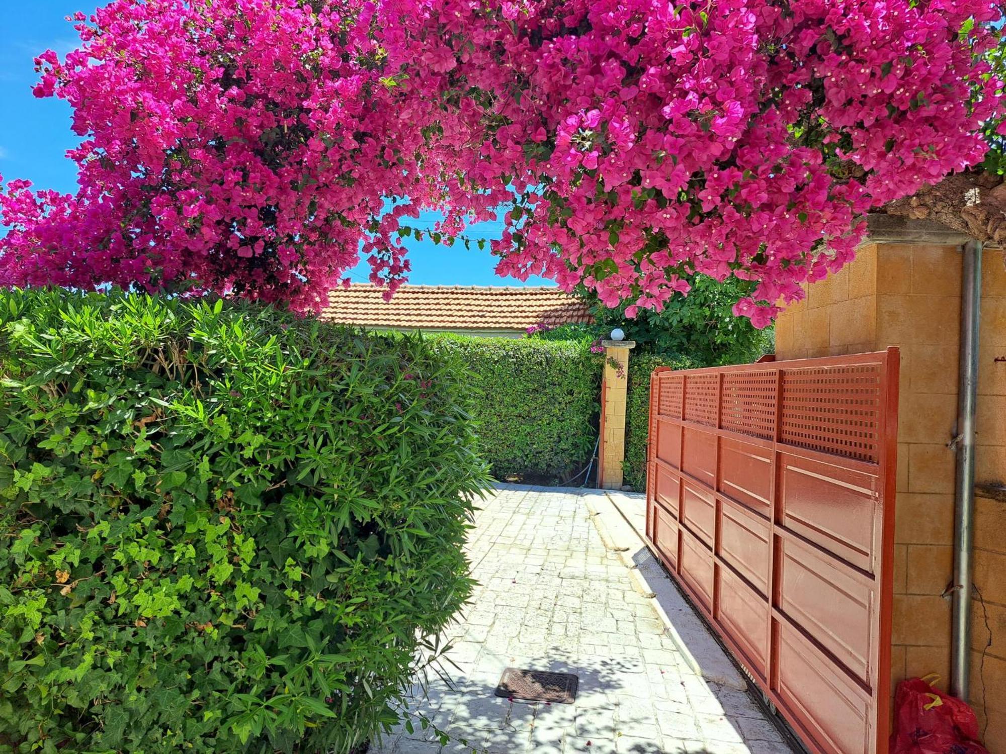 Holiday Home Orfanos Armenoí Zewnętrze zdjęcie
